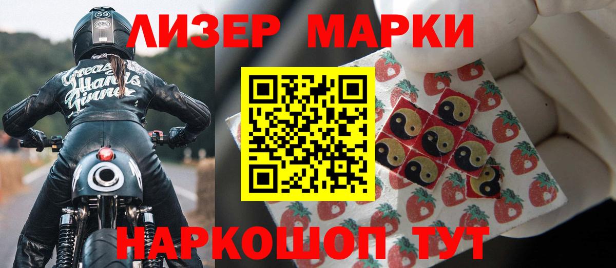 МЕФ Кизилюрт